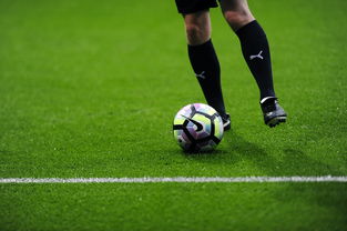 九游sports-西甲后腰双屏战术在比赛分水岭期效果分析，双后腰阵容