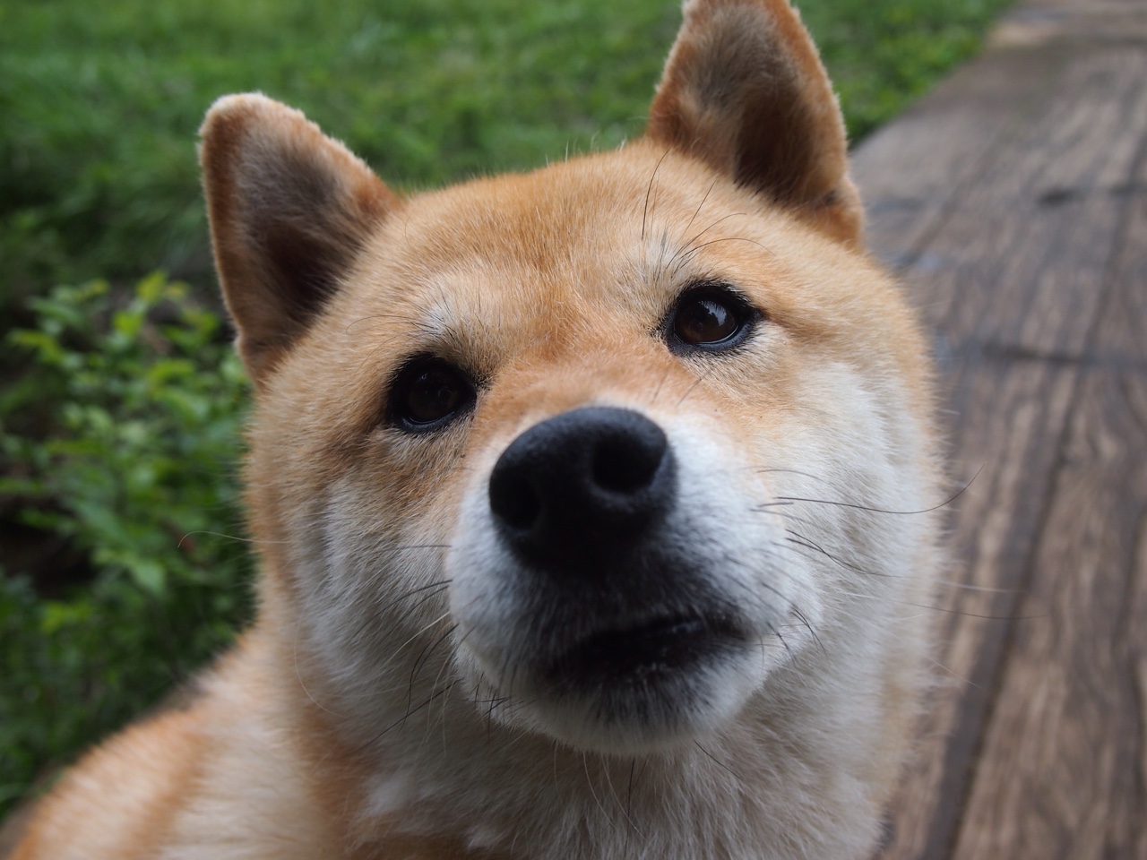 “新加坡泳池激战!2025世界游泳锦标赛精彩开幕”