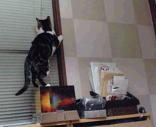 JIUYOU.COM-中国三人篮球男队提升短时间决策能力，中国男子三人篮球运动员