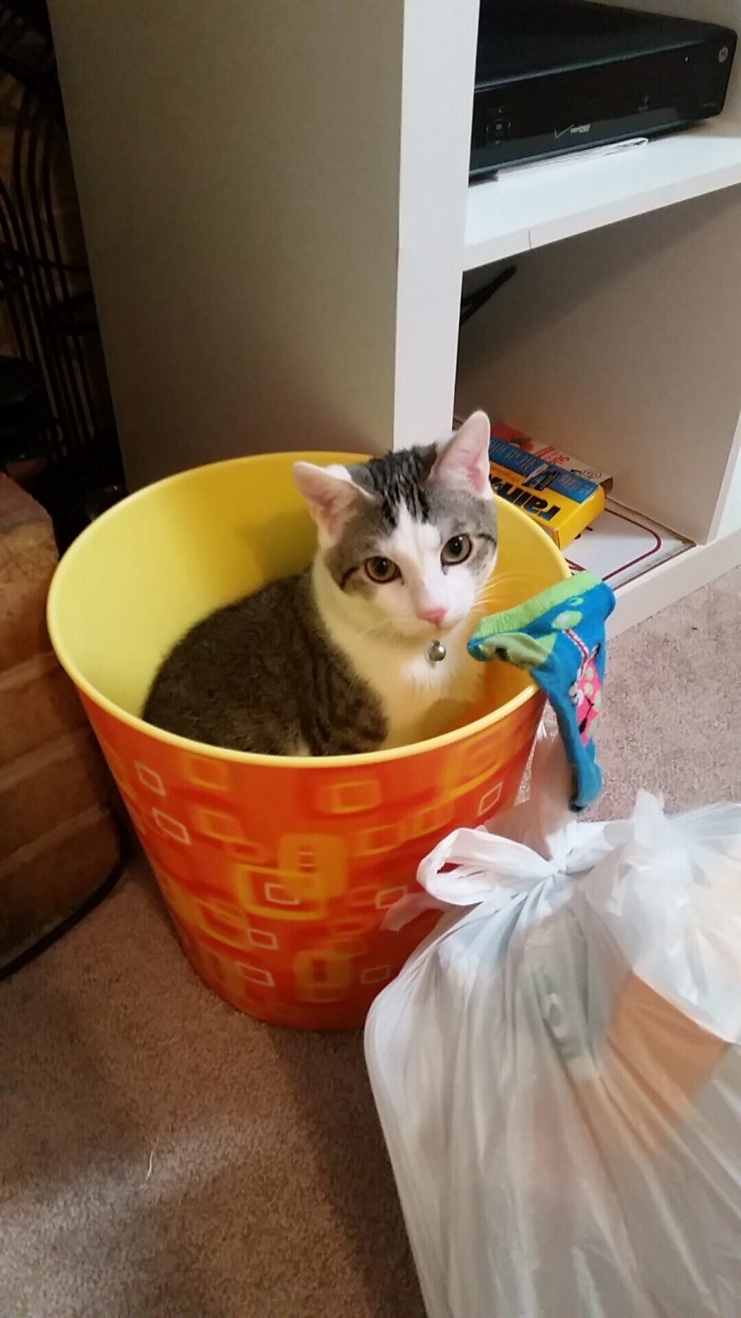 基层足球教练职业发展困难，基层足球教练职业发展困难有哪些