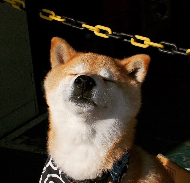 数据解读 NBA本赛季助攻王为何脱颖而出,nba助攻王是谁