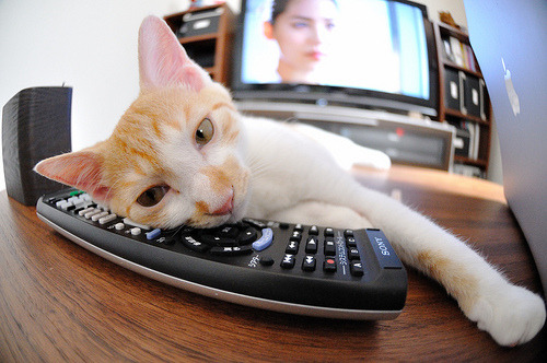 九游-自由泳战术布置灵活应变，自由泳讲解