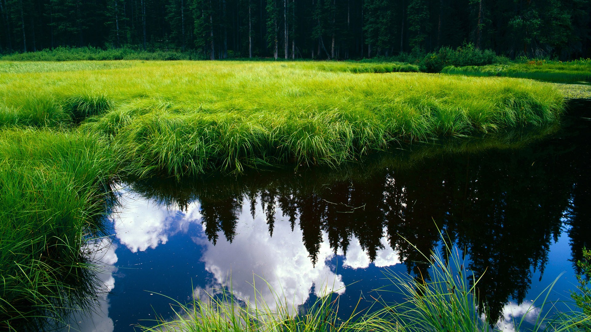 中超赛季开局引人注目攻防数据赛季初领先榜，中超新赛季规则争冠和降级