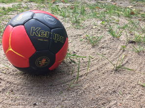 九游登录入口-安提瓜和巴布达在中美洲锦标赛中夺冠，体育实力不断崛起