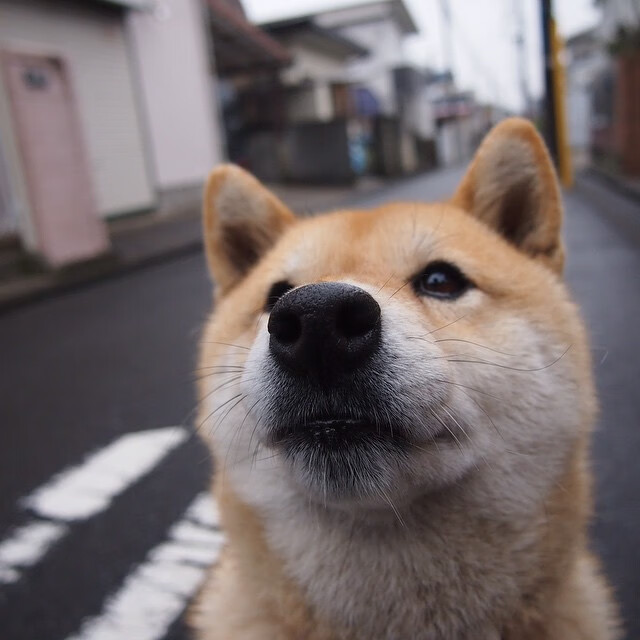 德甲攻防激战:精彩瞬间不断擦出火花!,德甲 打架