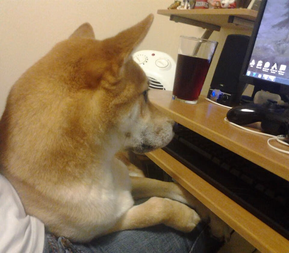 智能监测设备助力运动员科学训练和健康管理，智能运动侦测