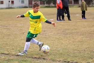 -中国足球联赛推动绿色环保足球场建设，我国足球场地设施建设的现实困境及其破解对策